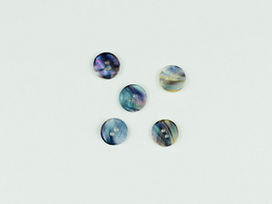 mussel shell round buttons